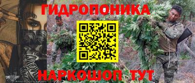 гидра Свободный