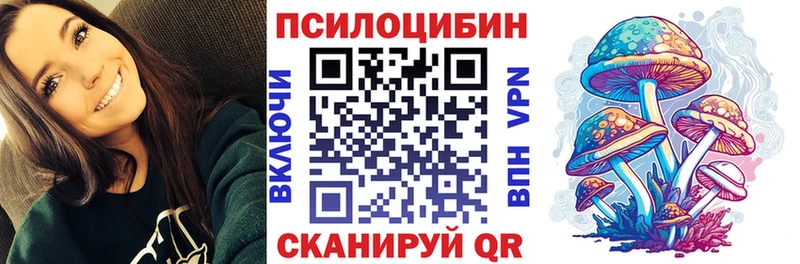 Псилоцибиновые грибы MAGIC MUSHROOMS  продажа наркотиков  Шали 